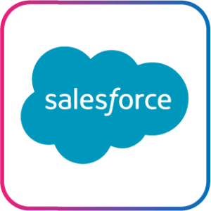 Salesforce Development Solutions